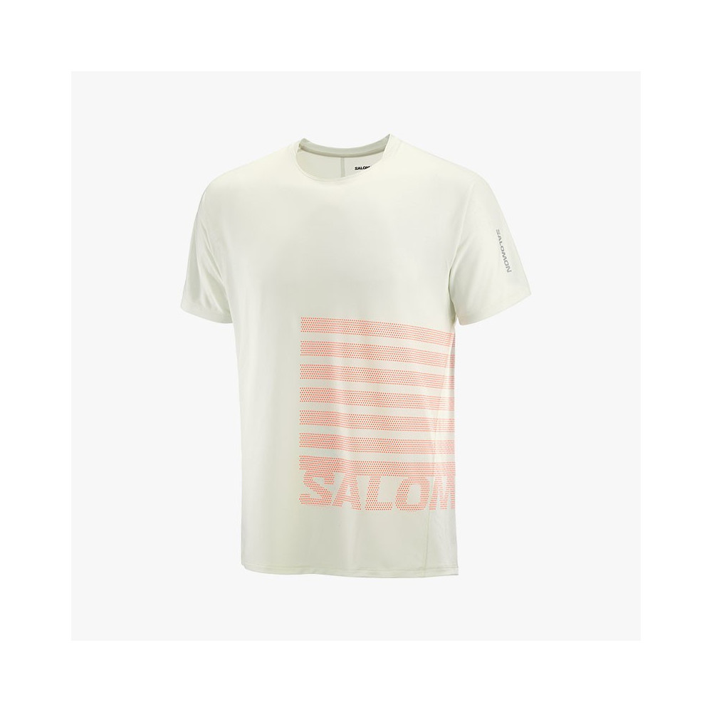 ▷ Camiseta salomon sense aero ss icicle por SOLO 70,00 €