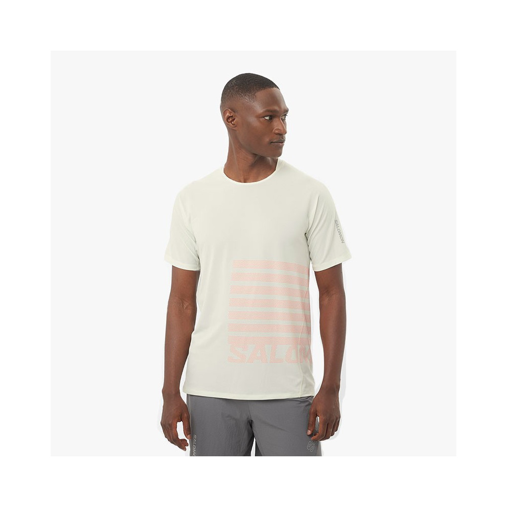 ▷ Camiseta salomon sense aero ss icicle por SOLO 70,00 €