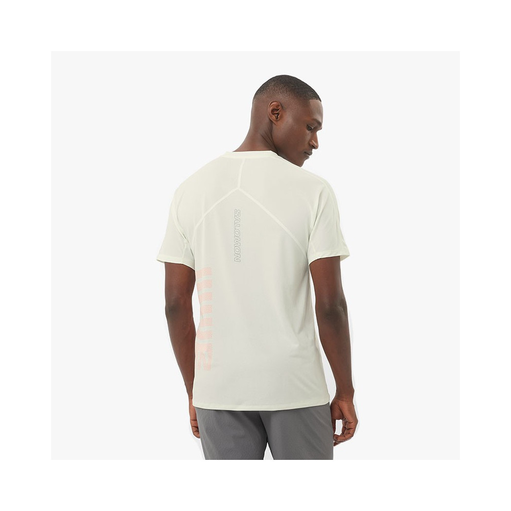 ▷ Camiseta salomon sense aero ss icicle por SOLO 70,00 €