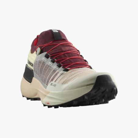 ▷ Salomon s/lab genesis vainilla/black por SOLO 220,00 €